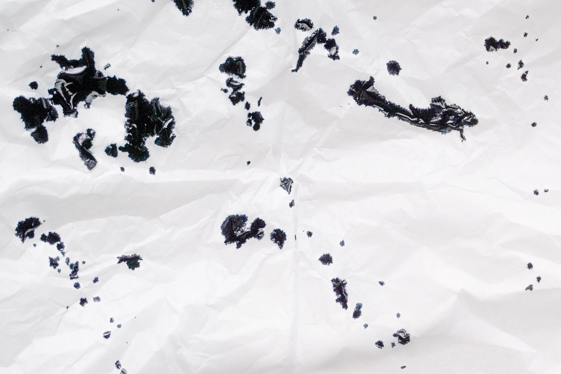 The Blotting Paper Extinction: Oil Is In, Powder Is Out, Shine Won